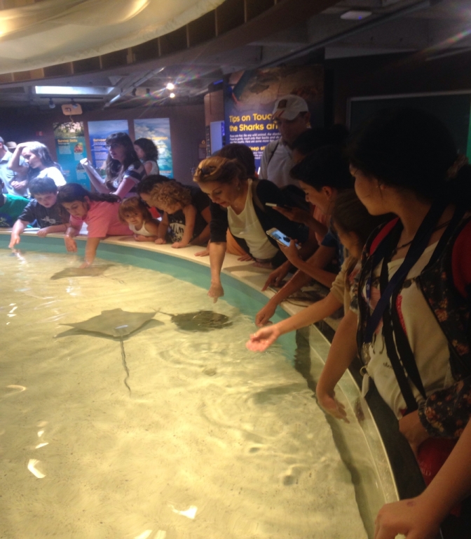 Village Camps International Summer Camp Boston, USA 2015-08-01 https://www.villagecamps.com/journals_admin/images/1427-2784-image (11).jpg